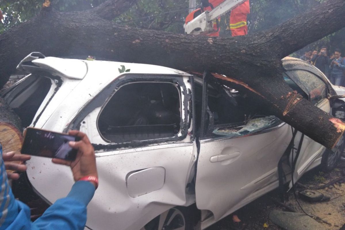 Sebuah mobil ringsek tertimpa pohon tumbang di Jatinegara Kaum, Jakarta Timur, Kamis (22/3/2018)