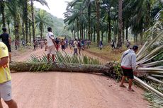 Walhi: 11 Konflik Agraria Terjadi di Bangka Belitung