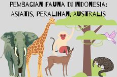 Pembagian Fauna di Indonesia: Asiatis, Peralihan, Australis