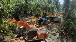 Tambang Ilegal di Madina Sumut, Sehari Hasilkan 100 Gram Emas