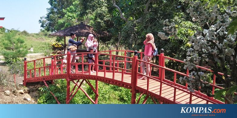 Wisata Alam Gosari Pilihan Akhir Pekan Murah Di Gresik
