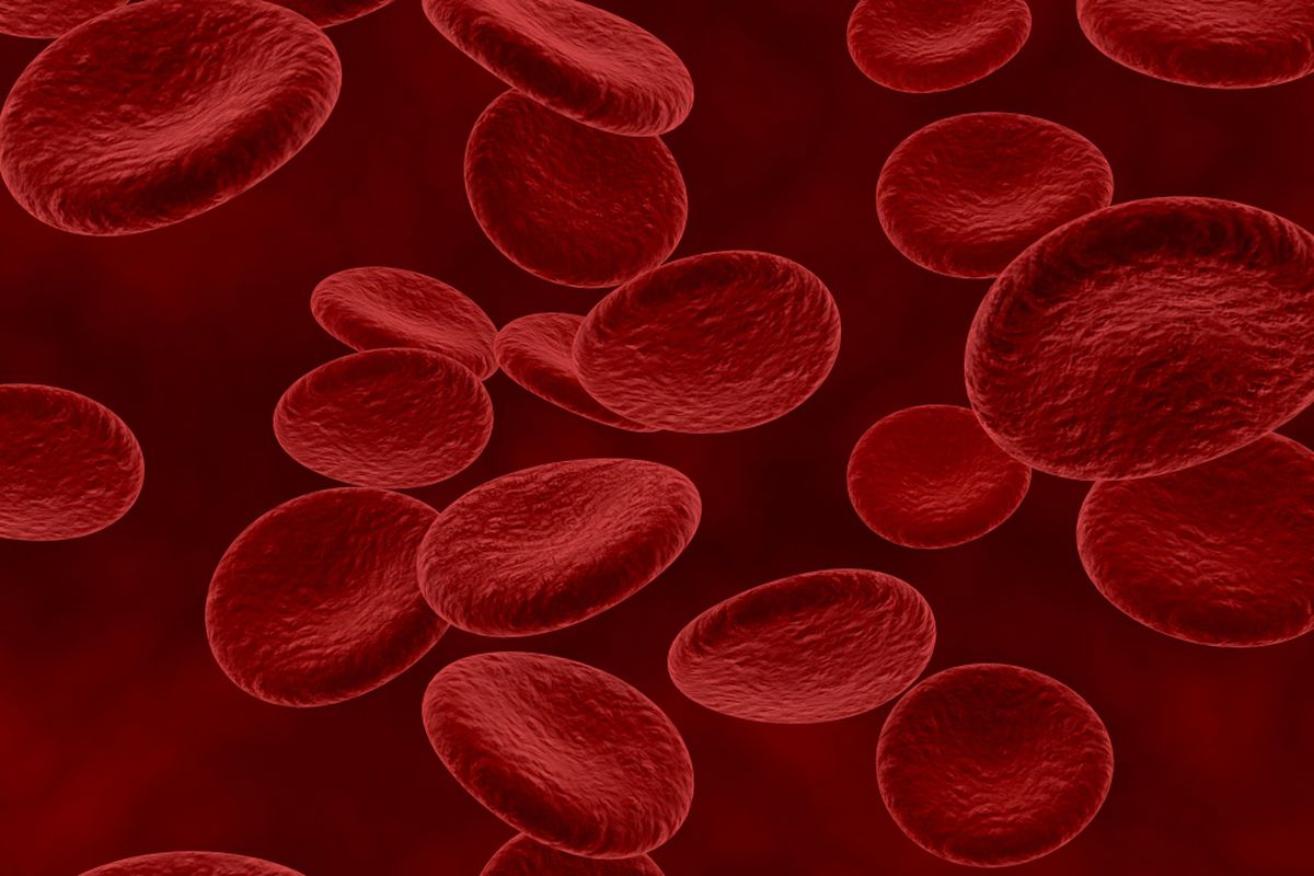 Ini adalah sel darah merah, di mana hemoglobin (Hb) ada di dalamnya. Hb adalah molekul protein yang mengandung zat besi di dalam sel darah merah. 