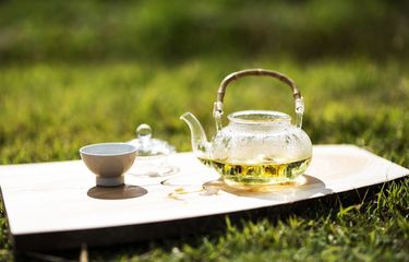 Teh bunga chrysanthemum tidak dianjurkan diminum orang dengan kondisi tertentu.