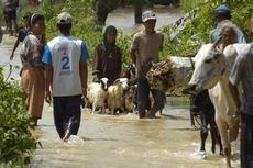 Bengawan Solo Meluap, Rumah Wawali Kebanjiran