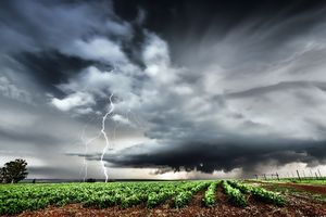 Peringatan Dini BMKG 7 Januari 2026, Daftar Wilayah Berpotensi Cuaca Ekstrem dan Hujan Lebat