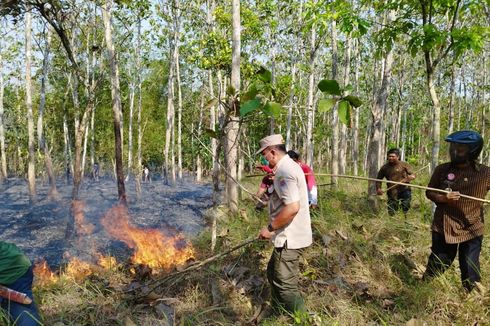 Lahan Jati dan Bambu Seluas 7.000 Meter Persegi di Cilacap Terbakar