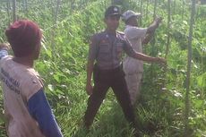 Cerita Brigpol Sukmawadi yang Bantu Warga Flores Timur Bertani 