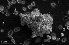 Debu Antariksa di Atmosfer Bumi Berusia Lebih Tua dari Matahari