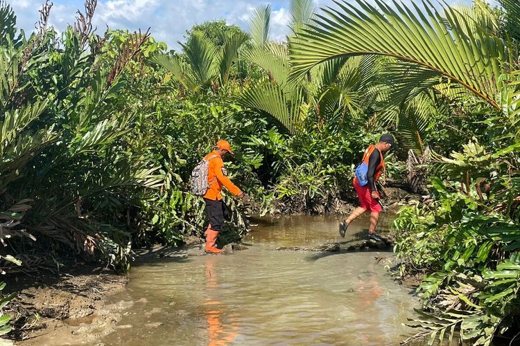 Memancing ikan gabus, Basdora (53) hilang di lokasi yang dipenuhi buaya. Selama 7 hari dicari nihil, akhirnya Proses pencarian dihentikan, Senin (5/9/2022)