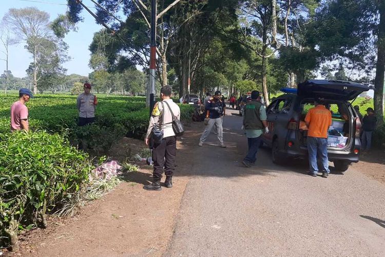 Petugas kepolisian dari Polsek Pangalengan saat mengevakuasi kedua jenazah pengamen yang ditemukan di Perkebunan Teh Malabar, Pangelangan, Kabupaten Bandung, Jawa Barat, Sabtu pagi