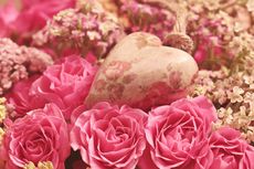 Makna Bunga untuk Hadiah Valentine yang Perlu Diketahui