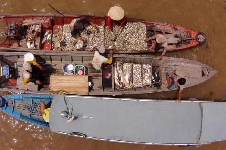 Nelayan mengkap ikan di Danau Semayang di daerah aliran Sungai Mahakam di Kecamatan Kota Bangun, Kutai Kartanegara, Kaltim, Rabu (3/9/2014). Kawasan ini merupakan salah satu habitat mamalia air tawar terancam punah  yaitu pesut mahakam, yang populasinya tidak lebih dari 90 ekor.