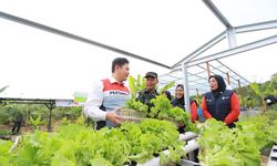 Dari Energi Bersih hingga Peluang Usaha, Program DEB Perkuat Ekonomi Masyarakat Desa