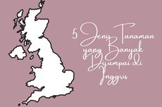 5 Jenis Tanaman yang Banyak Dijumpai di Inggris