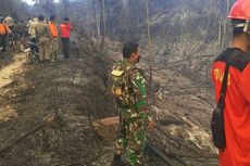 Petugas Kewalahan Padamkan 50 Hektar Hutan Lindung Riau yang Terbakar, Sampai Naik Turun Bukit