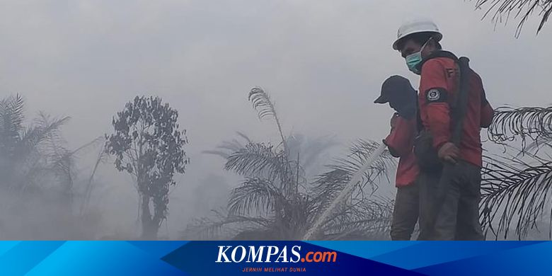 Diselimuti Kabut Asap Ini 5 Cara Lindungi Diri Dari Bahaya Polusi Udara Halaman All Kompas Com