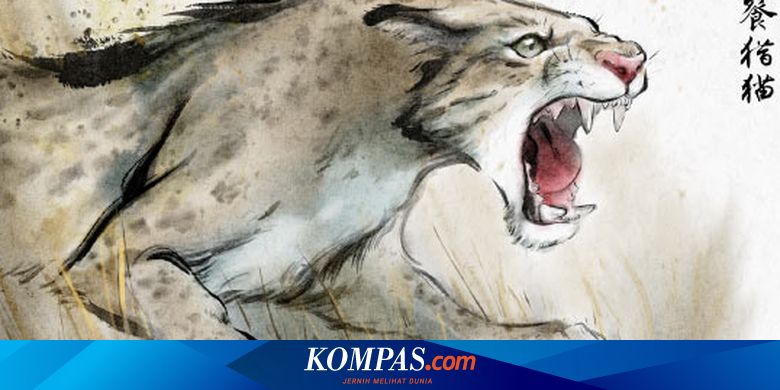 False Sabre-Toothed Cat: New Species & Ancient Predator Evolution