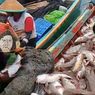 Tangkapan Melimpah, Nelayan Mukomuko Bagikan Ikan Gratis untuk Warga