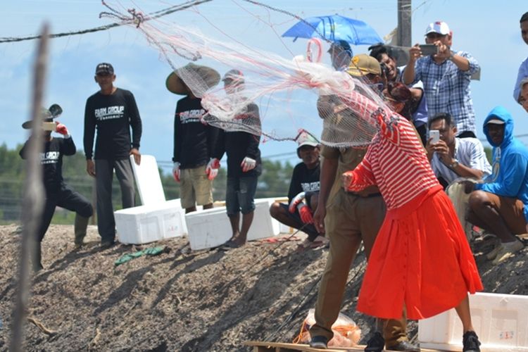 Menteri Kelautan dan Perikanan RI, Susi Pudjiastuti, saat melempar jala ketambak udang petani di Kolaka, Sulawesi Tenggara