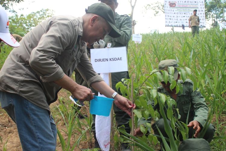 Sebutkan peristiwa alam yang dapat menyebabkan perubahan lingkungan