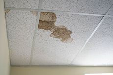 Jajaki Kerja Sama dengan Prabowo, Sistema Akan Kirim Pengajar Bahasa Rusia ke RI