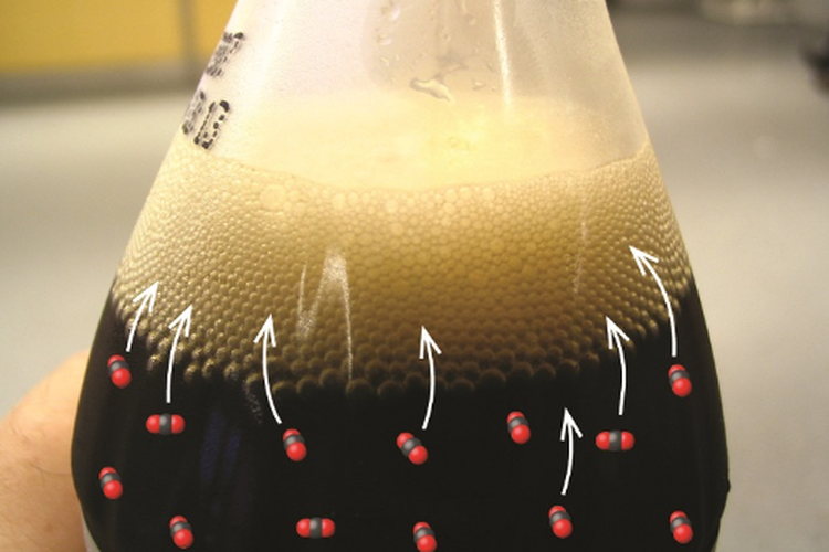 Konsep Kimia Dibalik Minuman Bersoda