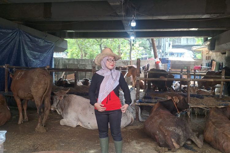 Lapak Hewan Kurban di Jakut Pakai SPG Ibu-Ibu Berkostum Koboi, Dibayar Rp 200.000 Per Hari