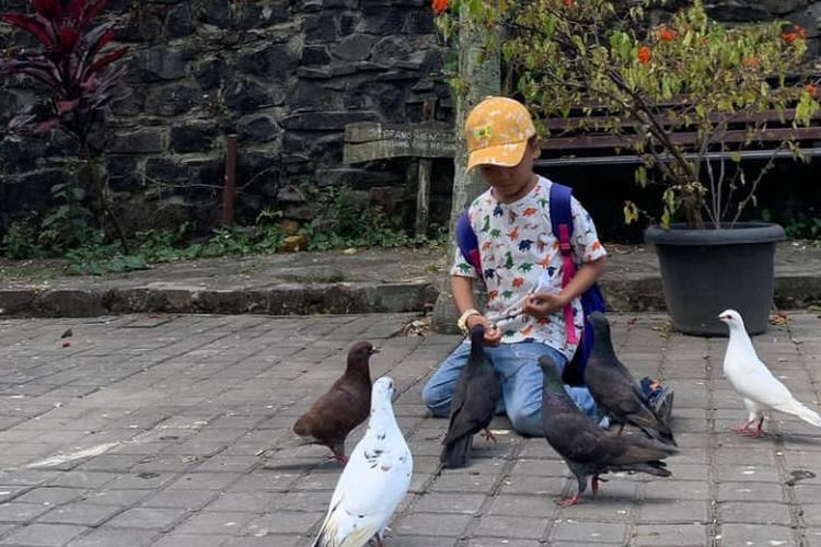 Agrowisata Bhumi Merapi, tempat wisata edukasi di Yogyakarta