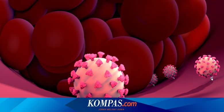 Update 27 Maret 2021 Ada 54 980 Suspek Terkait Covid 19 Di Indonesia
