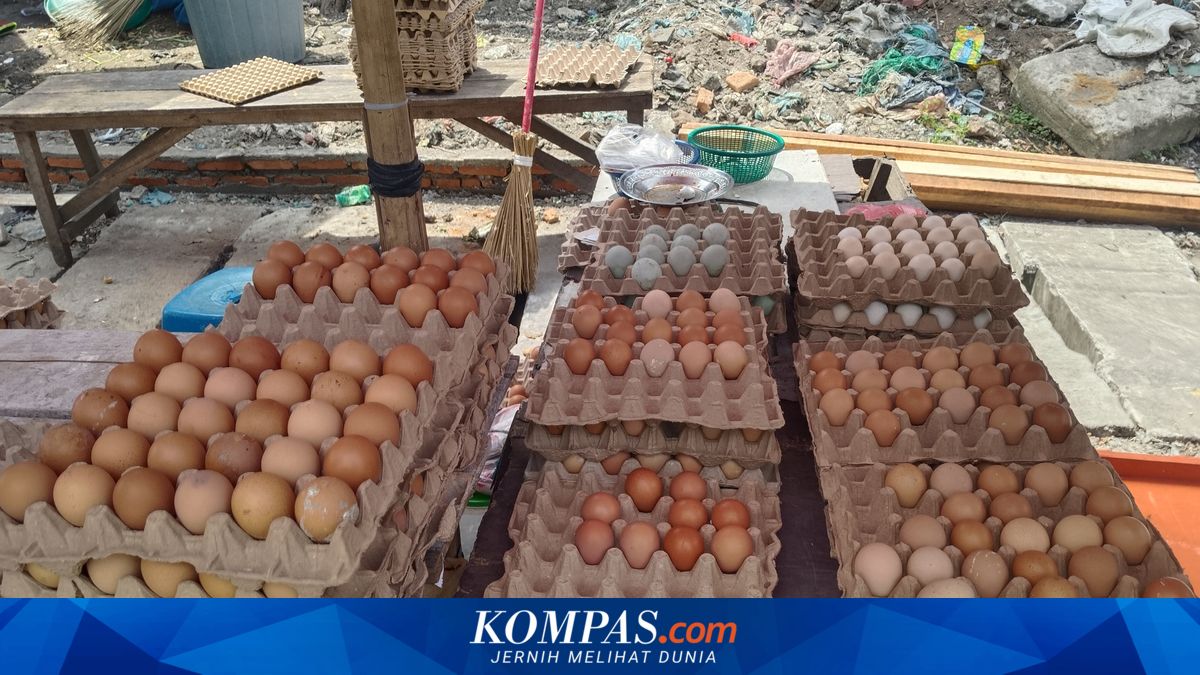 Harga Telur Ayam di Medan Naik, Pedagang: Sudah Musim Masuk Sekolah