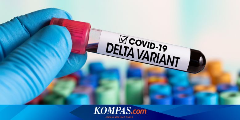 Beda Varian Delta Dengan Delta Plus Ini Penjelasan Who Halaman All Kompas Com