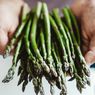 Mau Menanam Asparagus di Rumah? Berikut Caranya