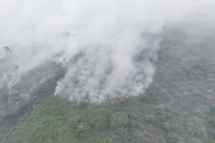 Kebakaran hutan dan lahan (Karhutla) melanda Kecamatan Bakongan, Kabupaten Aceh Selatan, Provinsi Aceh.