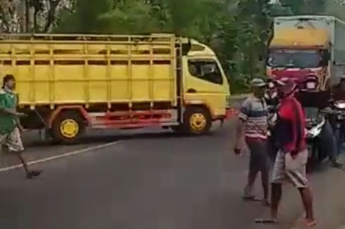 Sejumlah Sopir Truk Pengangkut Sapi Protes dan Hentikan Kendaraan di Jalan, Ini Penjelasan Polisi