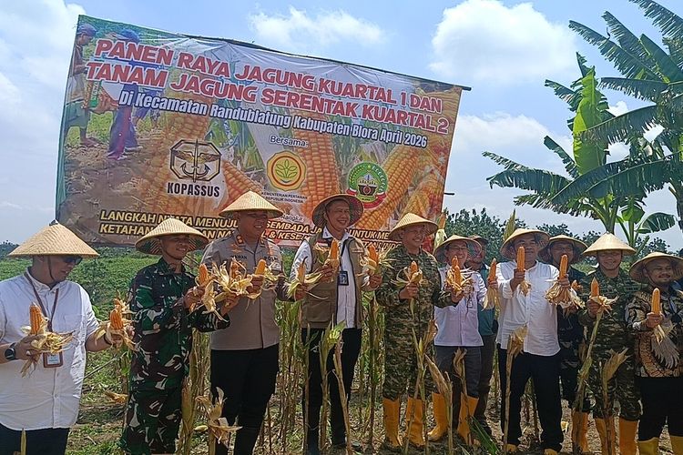 Kopassus hingga Kementan Terjun ke Sawah, Jadikan Blora Proyek Percontohan Produksi Jagung