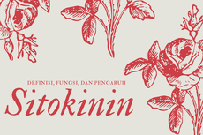 Sitokinin: Definisi, Fungsi, dan Pengaruhnya