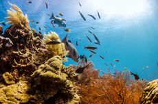 Industri Tekstil Tertekan, PHK Meluas Sepanjang 2025