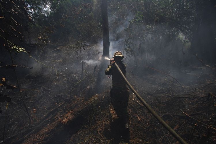 Personel TNI berupaya memadamkan Kebakaran hutan dan lahan (Karhutla) di kawasan Guntung Damar, Banjarbaru, Kalimantan Selatan, Rabu (25/9/2019). Petugas gabungan terus berupaya memadamkan kebakaran hutan dan lahan di kawasan dekat dengan Bandara dan rumah penduduk sementara Polda Kalsel telah menetapkan 20 tersangka pembakar lahan, dua diantaranya dari korporasi. ANTARA FOTO/Bayu Pratama S/foc.