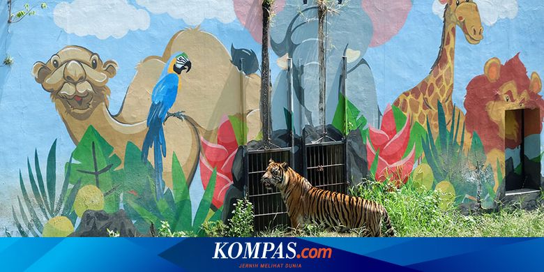 Obyek Wisata TSTJ Solo Akan Dibuka, tapi Hanya untuk Usia 18 Tahun ke Atas