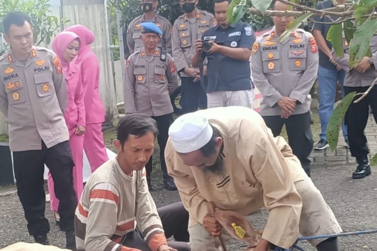 Polres Sumedang memotong sapi sebagai bagian tolak bala menjelang pengamanan Nataru, Rabu (21/12/2022). AAM AMINULLAH/KOMPAS.com