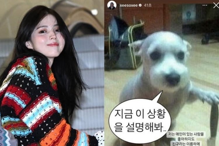(Kiri) Han So Hee dan foto meme anjing yang menekan pisau. Anjing tersebut bernama Kang Soe, milik Park Min Seo.