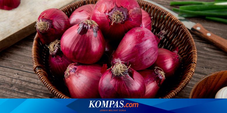 Ilmuwan Temukan Cara Unik Lindungi Panel Surya: Pakai Bawang Merah!