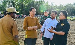 Kick Off Food Estate di Papua, Jokowi Minta Pemerintah Beri Kepastian Harga Jual ke Petani 