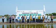 Pelindo Terminal Petikemas Dukung Program Prioritas Jateng, Tanam 50.000 Bibit Mangrove