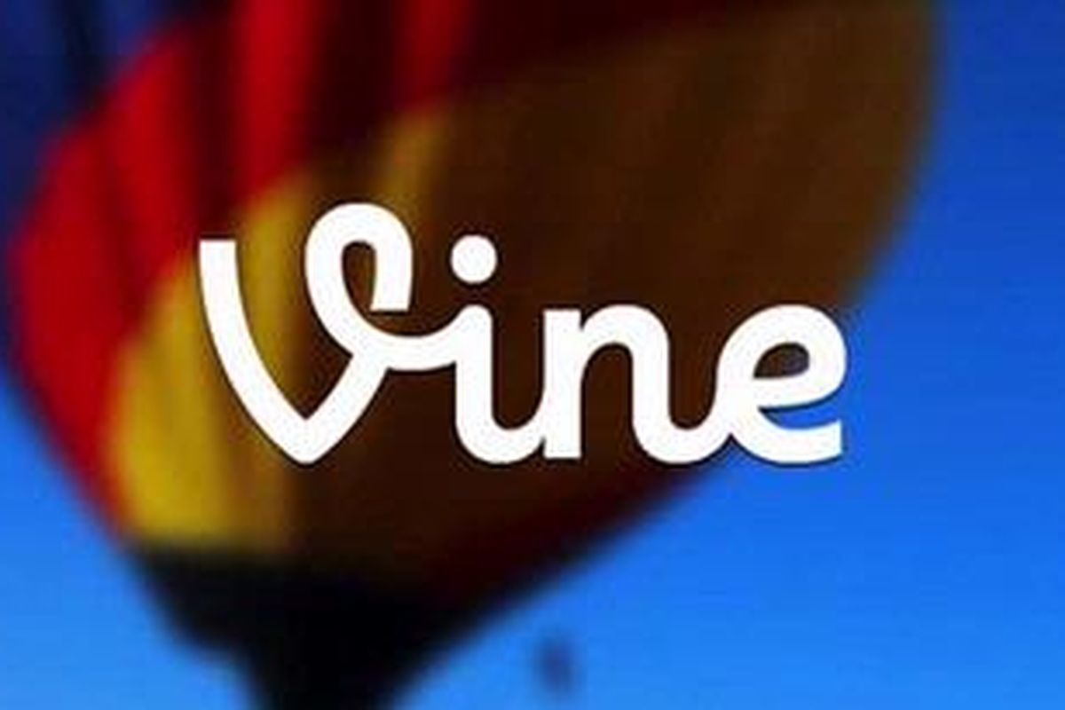 Vine
