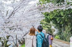 Angka Kelahiran di Jepang Anjlok, Produsen Popok Bayi Akan Sasar Indonesia?