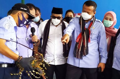 Menteri Edhy: Tanpa Terumbu Karang, Jangan Pikir Ikan Akan Melimpah