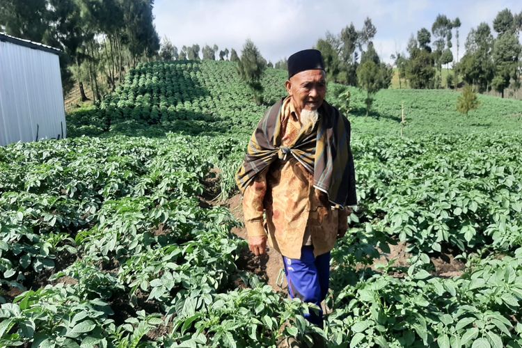 Mbah Kerto, miliarder asal Desa Ranupane, Kecamatan Senduro, Kabupaten Lumajang, Jawa Timur, saat saat melihat tanaman kentangnya, Jumat (1/7/2022)
