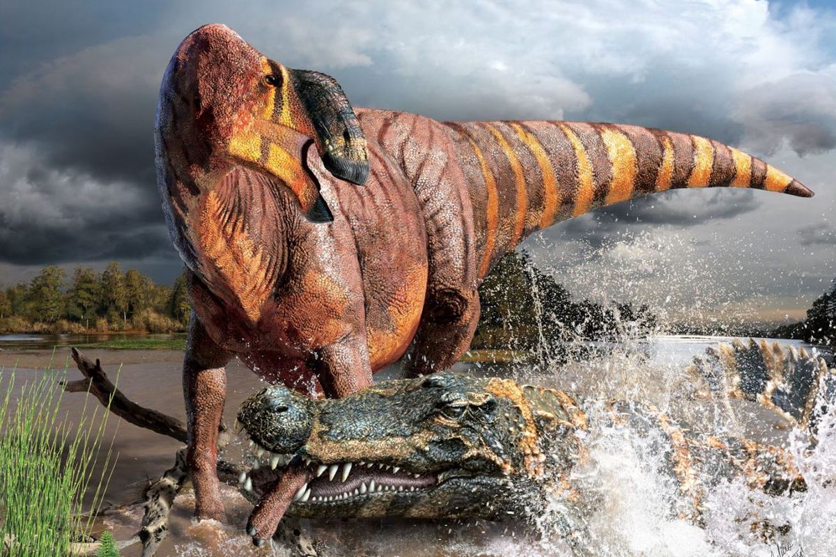 Buaya raksasa Deinosuchus merupakan predator puncak di habitat lahan basah pada akhir Zaman Kapur. Di sini, Deinosuchus hatcheri, spesies dari formasi batuan di tempat yang sekarang disebut Utah, memangsa dinosaurus berparuh bebek yang disebut Rhinorex condrupus.

