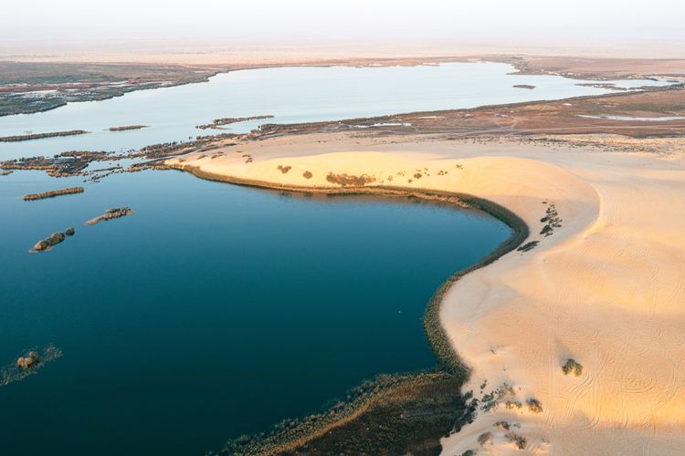 Yellow Lake Al Ahsa.